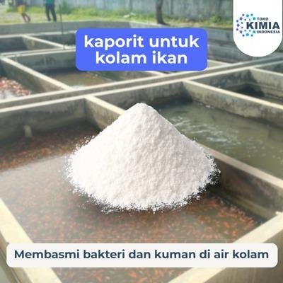 Kaporit Untuk Kolam Ikan 50kg